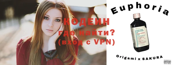 apvp Мегион