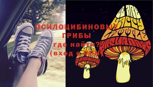 ешки Медногорск