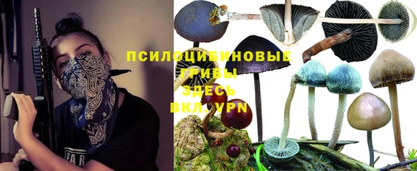 apvp Мегион