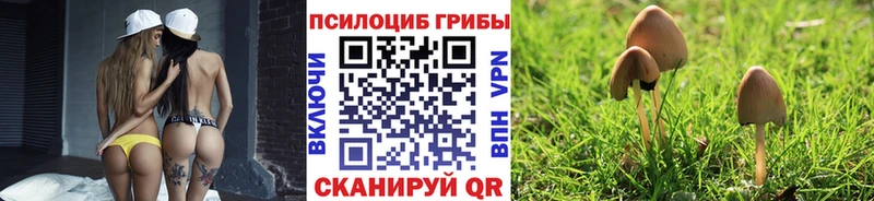 Купить закладки  Киренск  Галлюциногенные грибы Psilocybe 
